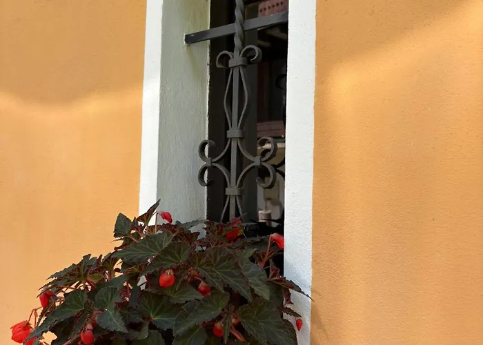 بيت ضيافة Na Vysluni Ceske Svycarsko Dolni Podluzi